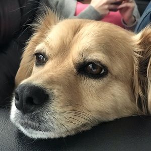 Meet your Posher, Jonathan